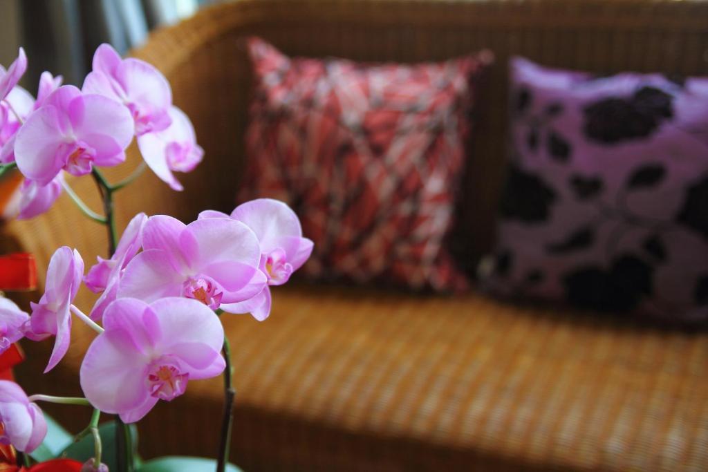 Jimei Homestay Ji’an Zewnętrze zdjęcie